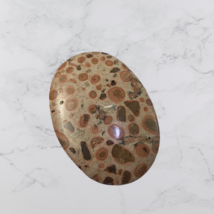 PIEDRA RANURADA LEOPARDITA