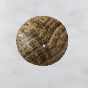 PIEDRA RANURADA REDONDA ARAGONITA